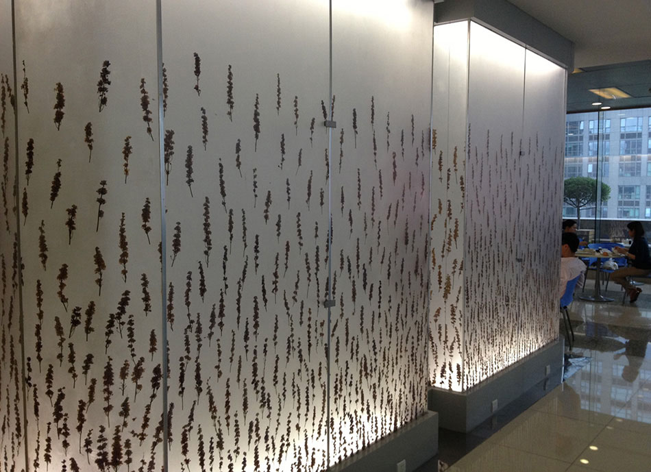 Wall & Ceilings - 019