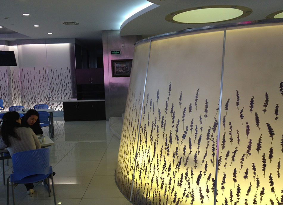 Wall & Ceilings - 019