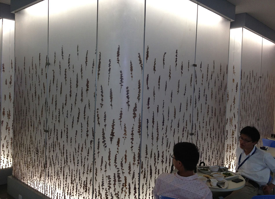Wall & Ceilings - 019