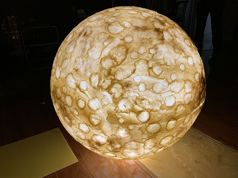 TT-206